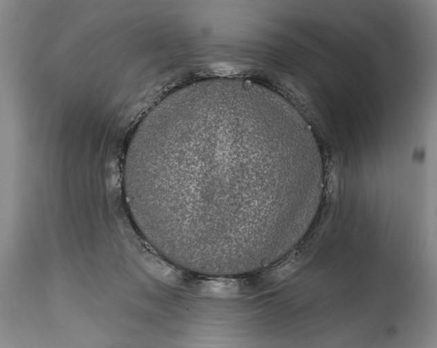 X0000114990317200911091341