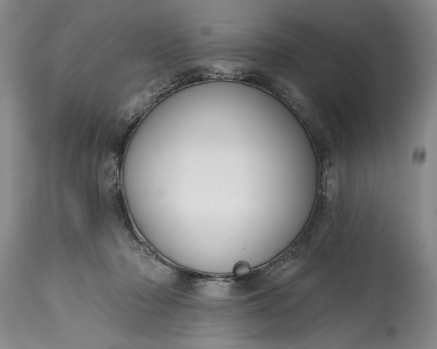 X0000114990318200911091341