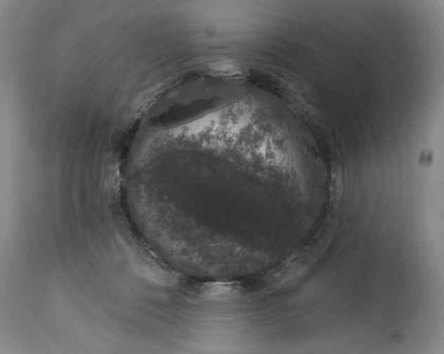 X0000114990320200911091341