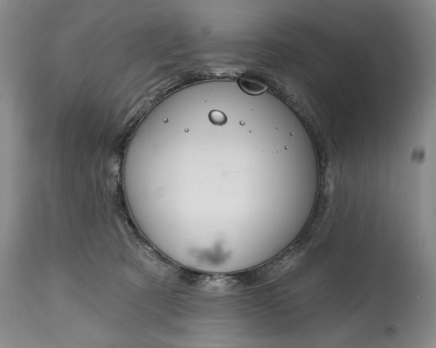 X0000114990321200911091341