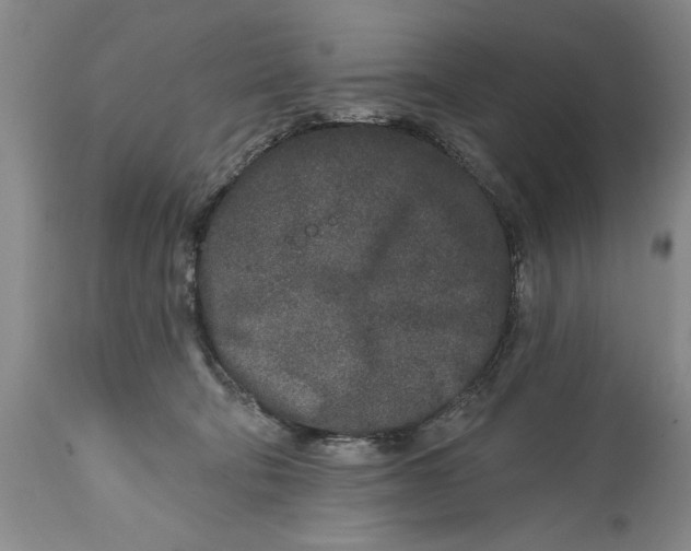 X0000114990322200911091341