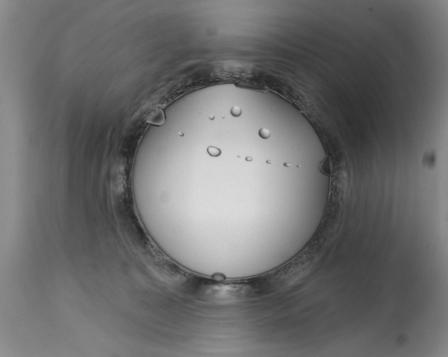 X0000114990323200911091341