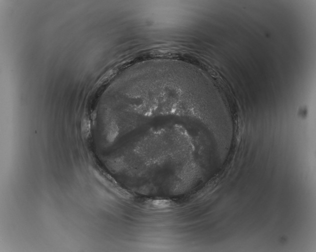 X0000114990324200911091341