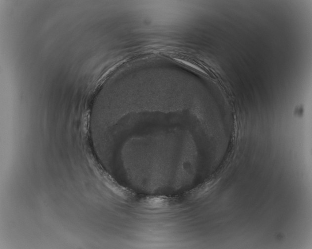 X0000114990325200911091341