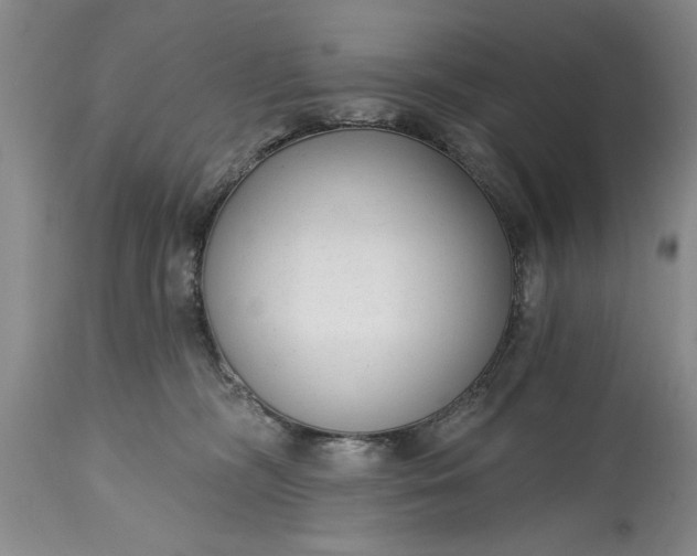 X0000114990326200911091341