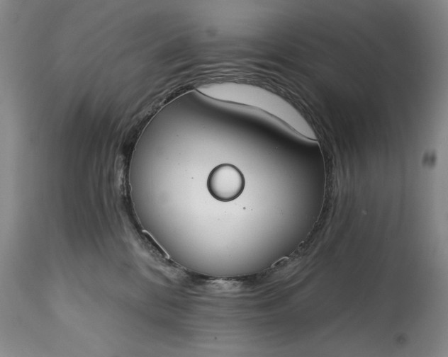 X0000114990328200911091341