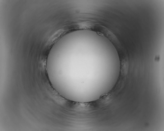 X0000114990329200911091341