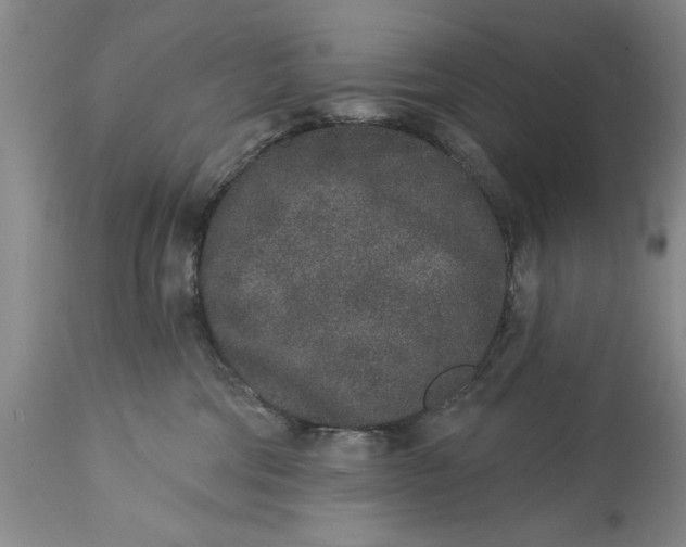 X0000114990330200911091341