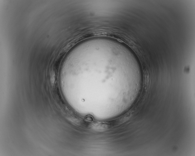 X0000114990331200911091341