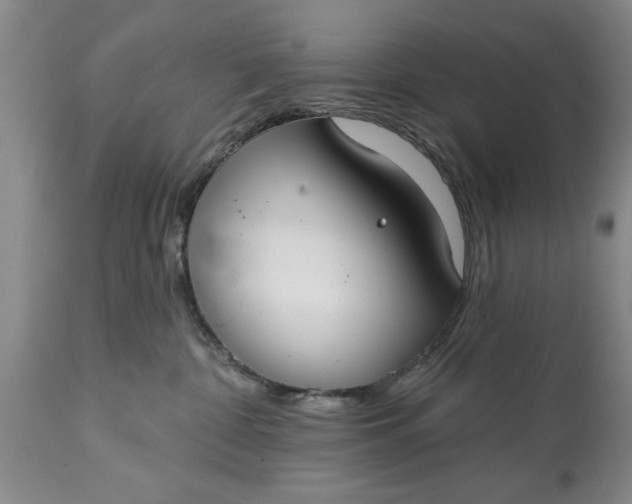 X0000114990332200911091341