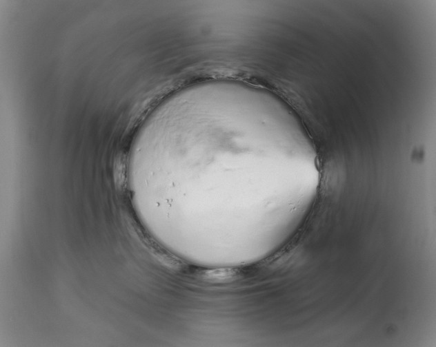 X0000114990335200911091341