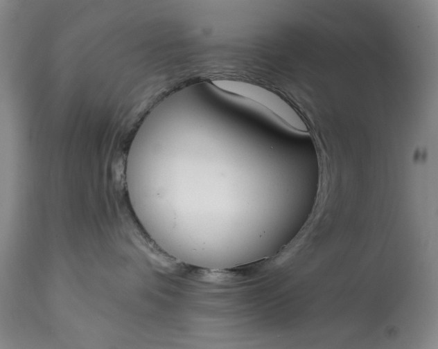 X0000114990336200911091341