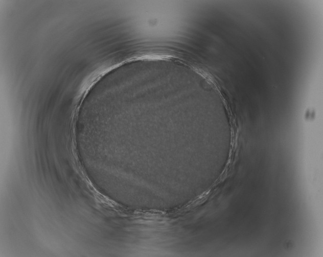 X0000114990337200911091340