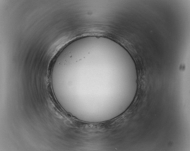 X0000114990338200911091340