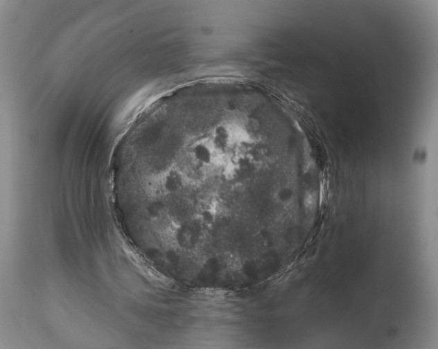 X0000114990339200911091340