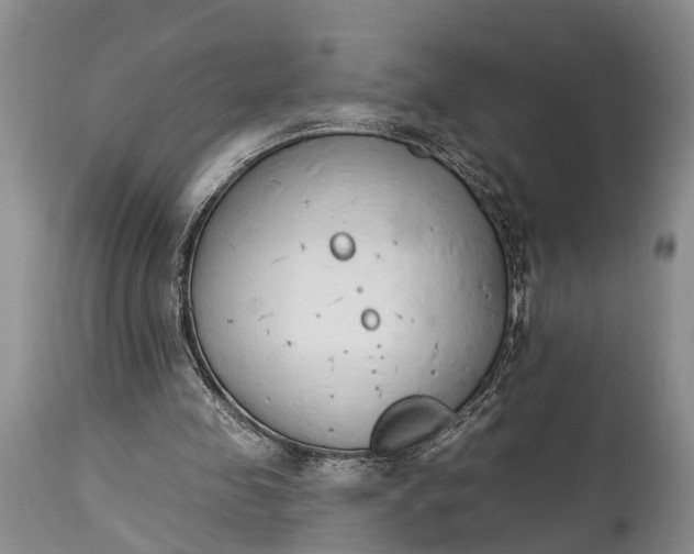 X0000114990341200911091340