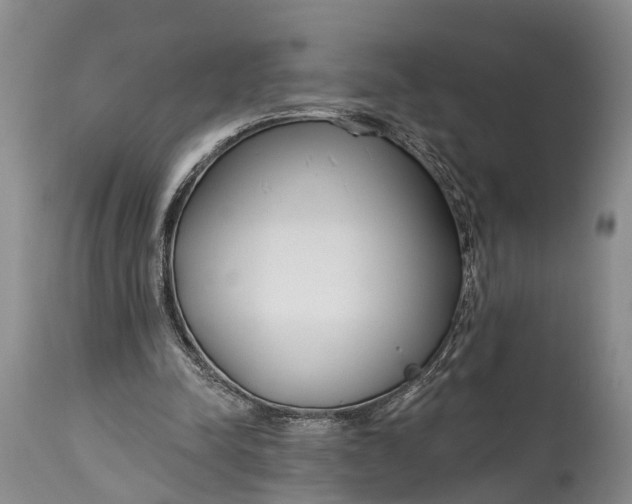 X0000114990342200911091340