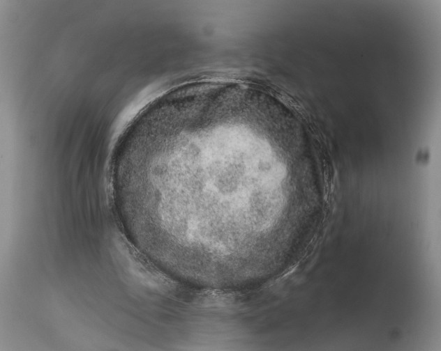 X0000114990343200911091340
