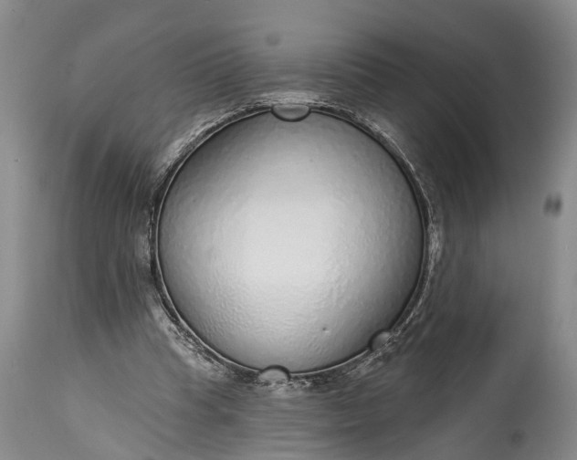 X0000114990345200911091340
