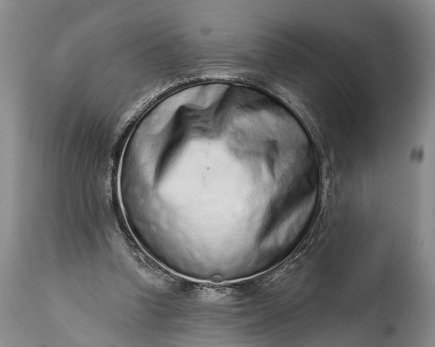 X0000114990346200911091340