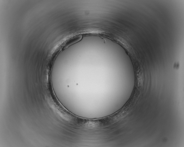X0000114990350200911091340