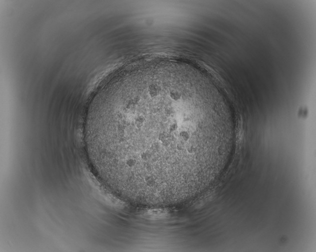 X0000114990353200911091340