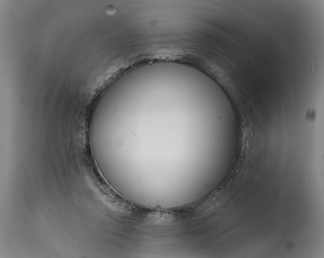 X0000114990354200911091340