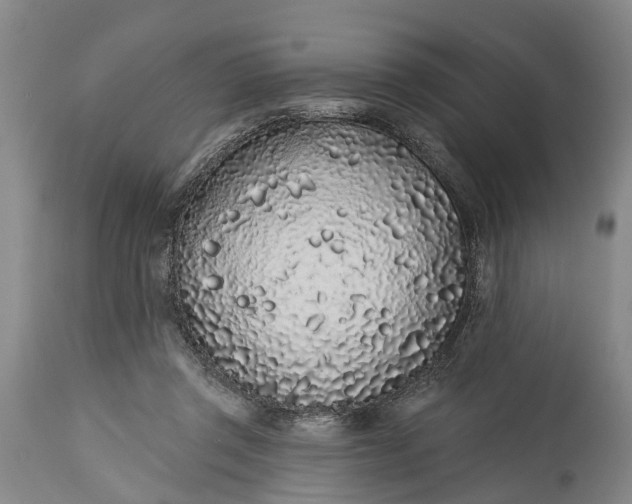 X0000114990357200911091340