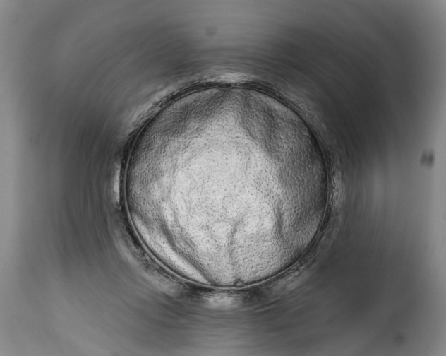 X0000114990358200911091340