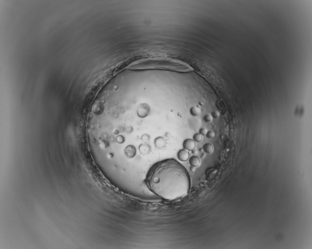 X0000114990359200911091340