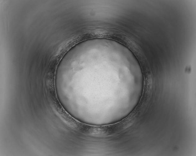 X0000114990361200911091340
