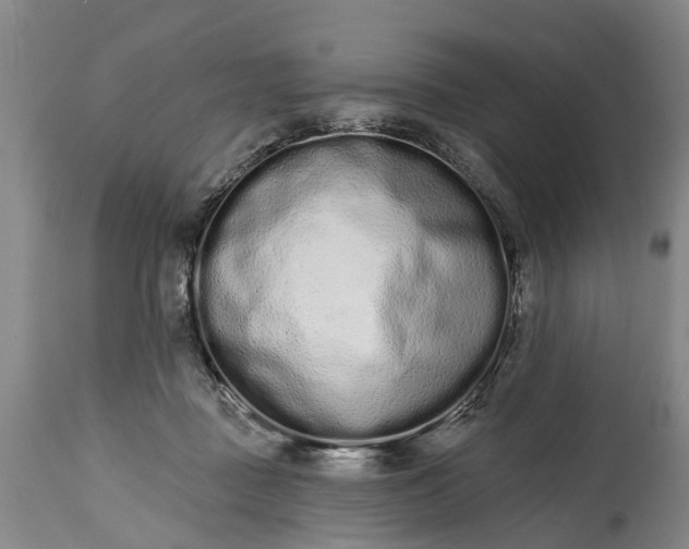 X0000114990363200911091340