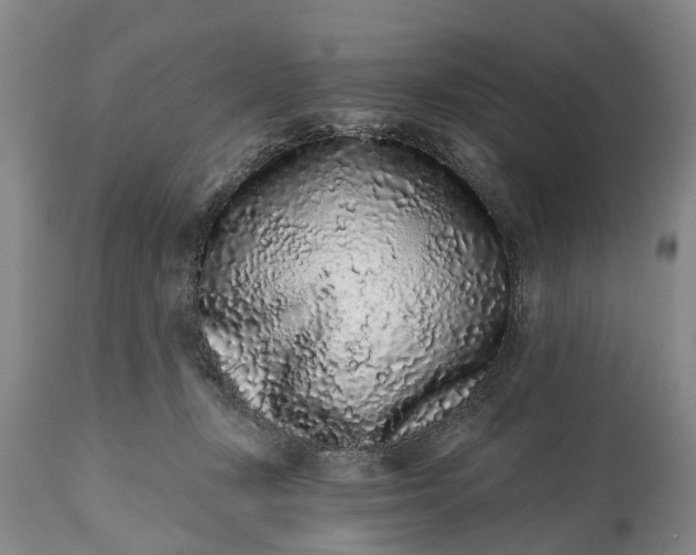 X0000114990367200911091340