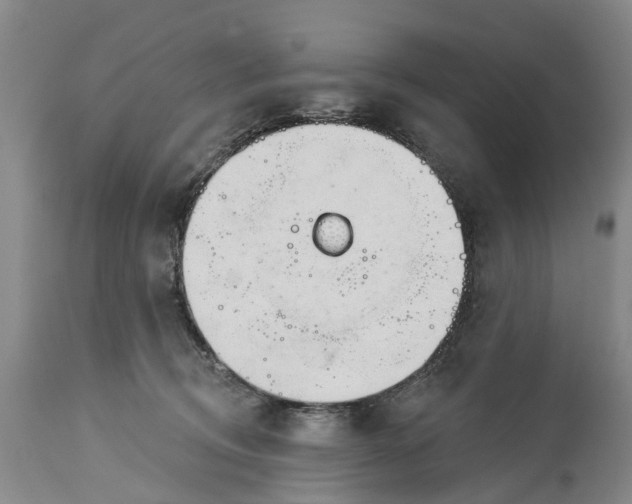 X0000114990370200911091340