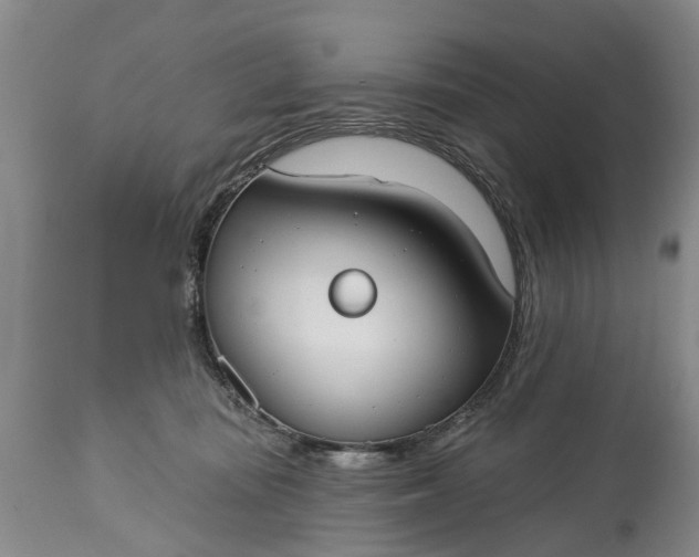 X0000114990371200911091340