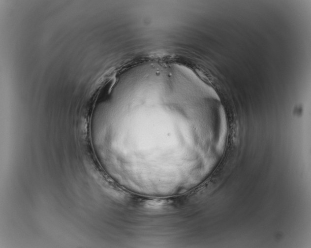 X0000114990375200911091340