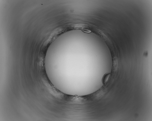X0000114990379200911091341