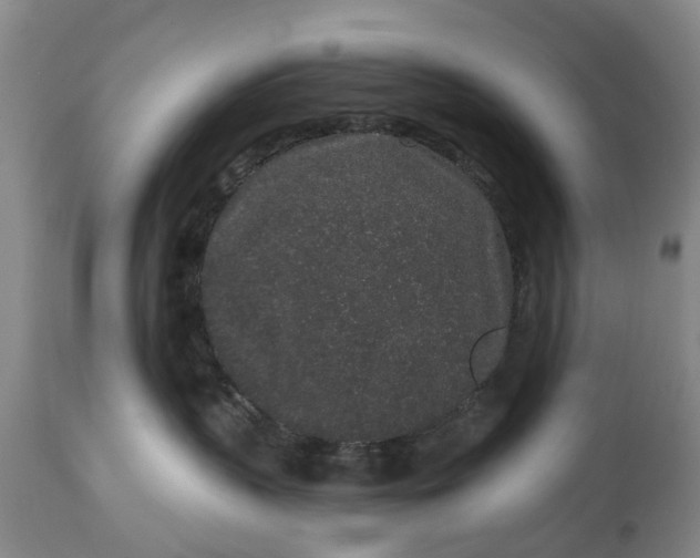 X0000114990383200911091341