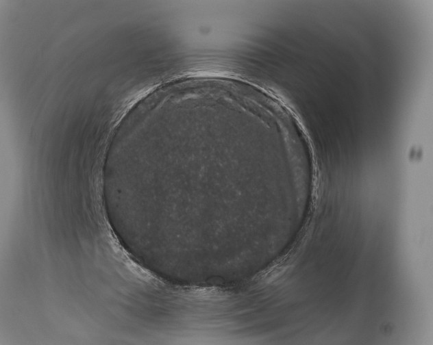 X0000114990385200911091340