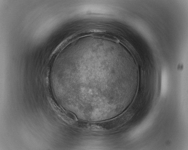 X0000114990387200911091340