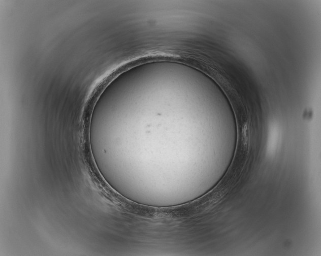 X0000114990388200911091340