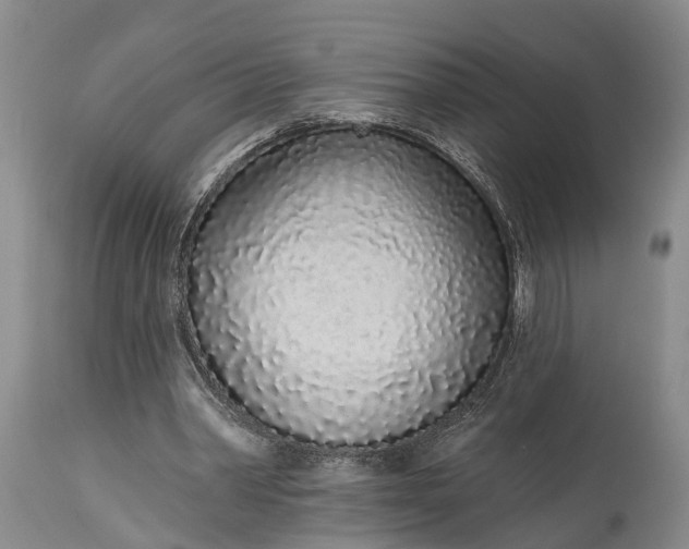 X0000114990390200911091340