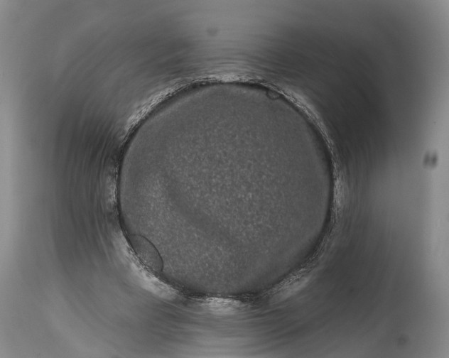 X0000114990393200911091340