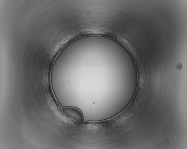 X0000114990394200911091340