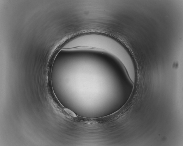 X0000114990395200911091340