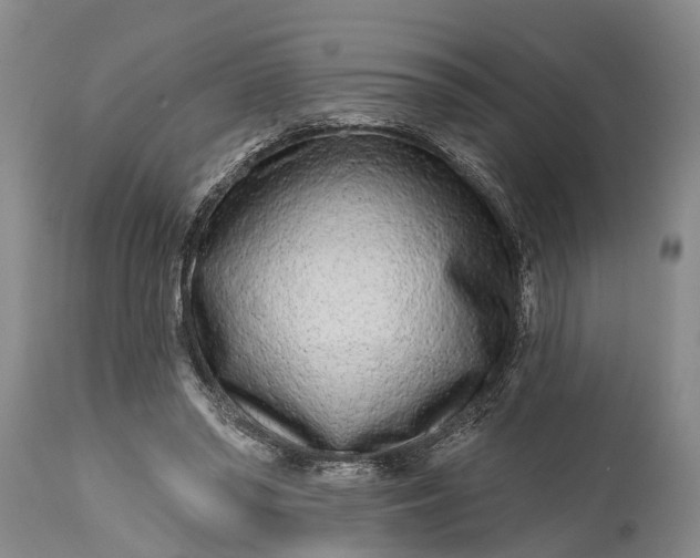 X0000114990398200911091340