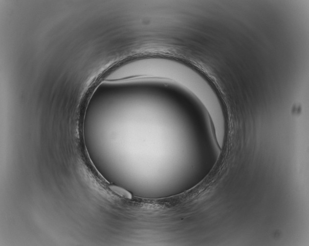 X0000114990399200911091340