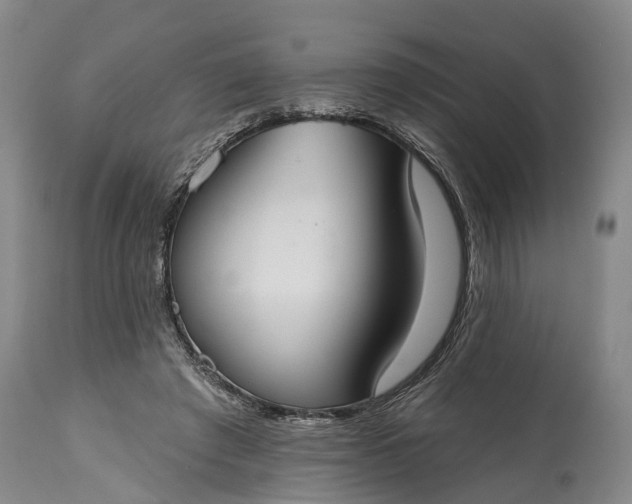 X0000114990401200911091340