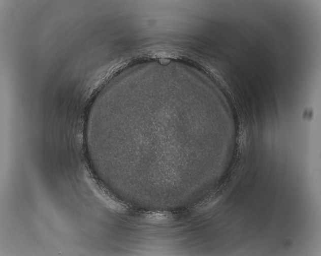 X0000114990402200911091340