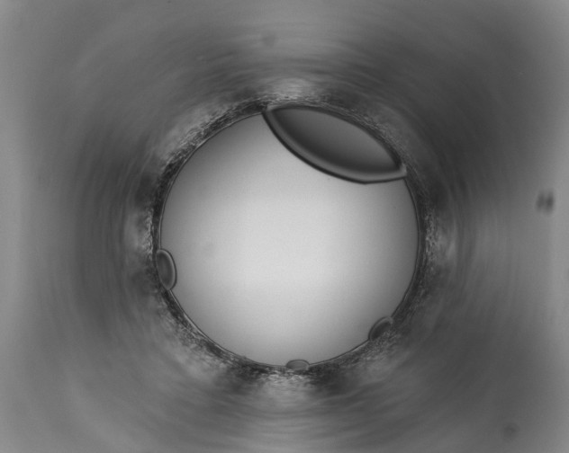 X0000114990403200911091340